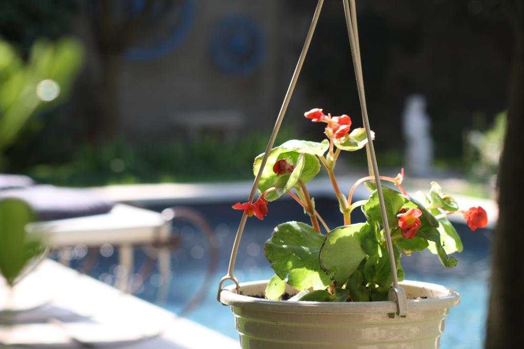 L'Abri Du Poete Bed & Breakfast Besse-sur-Issole Екстериор снимка