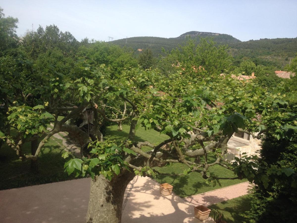 L'Abri Du Poete Bed & Breakfast Besse-sur-Issole Стая снимка